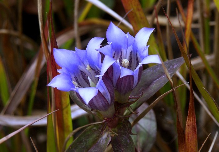 �����́A��ւ����ǂ��I