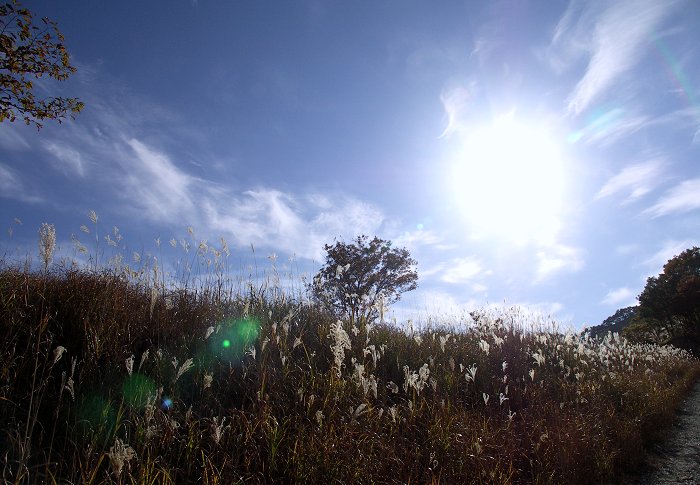 ��������́A���Ƃ̐킢�ł��I