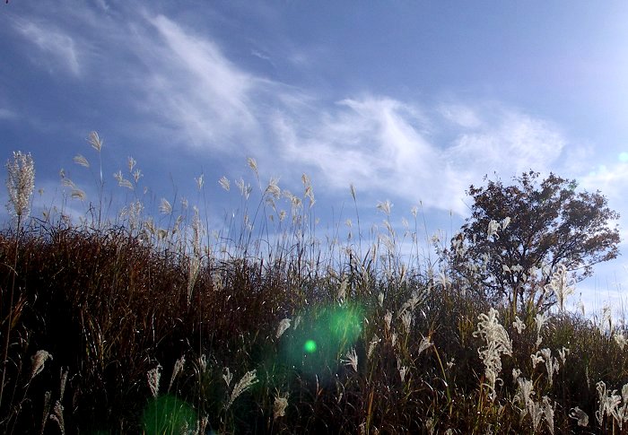 �t���Ƃ̐킢�ł��I