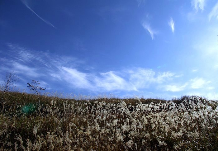 ����������A�t�����Ɛ킢�ł��I(��)