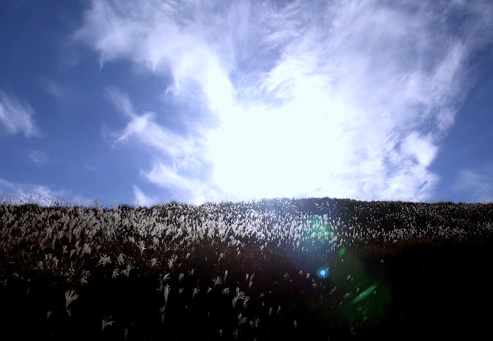 �t�����Ɛ킢�ł��I