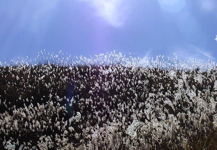 �t�����Ɛ킢�ł��I