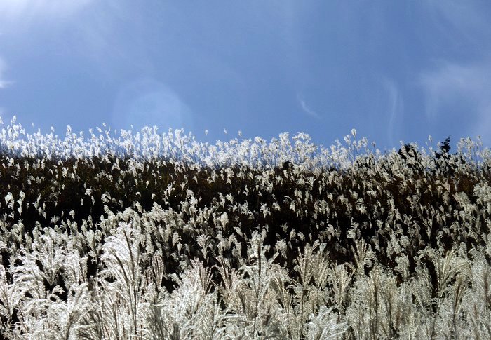 �t�����Ɛ킢�ł��I