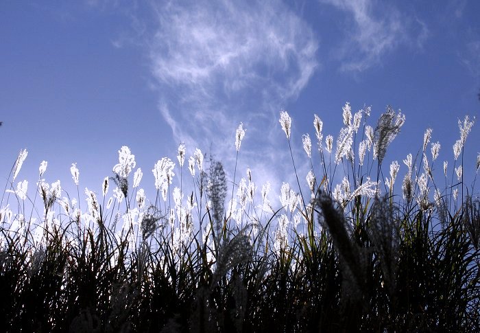 �t�����Ɛ킢�ł��I���̃p�^���[���ǂ��ł��ˁI