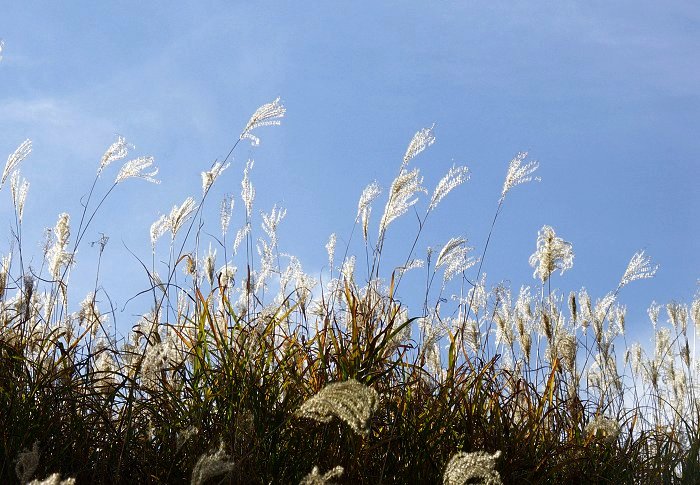 �t�����Ɛ킢�ł��I