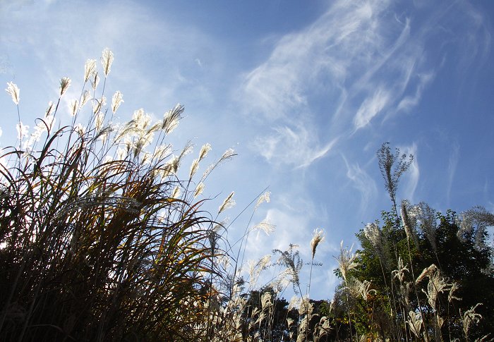 �t�����Ɛ킢�ł��I