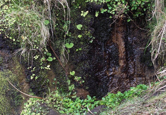 �U�����e�ɏ����ȑꂪ�E�E�E�E�A�w��ǐ��͗��ꂽ���Ȃ������ł��B(-_-;)