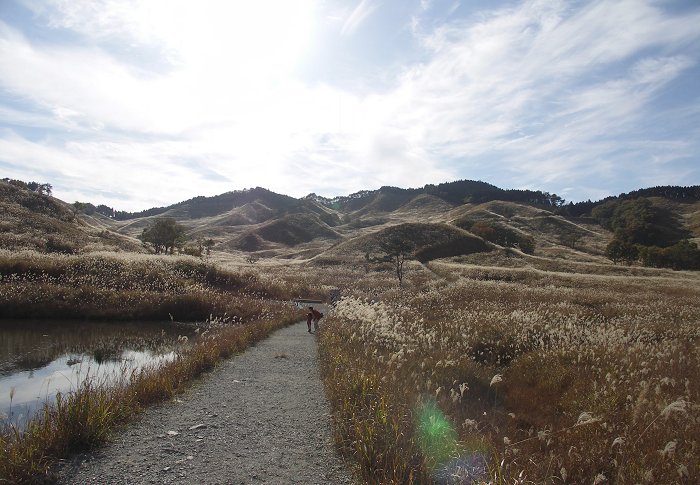 �W�]��ňꎞ��A��C�ɉ��R���܂����B