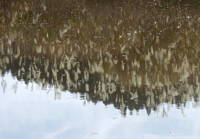 �����ɂ��悮�����~�܂������̃����V���b�g�ł��B