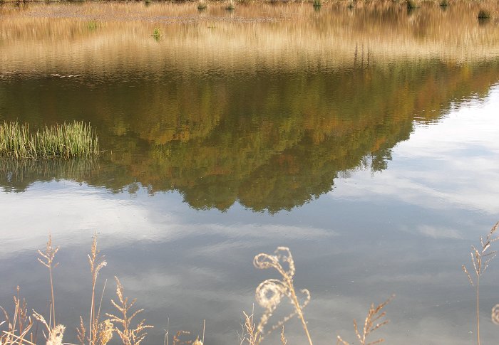 ���Α��ɂ́A�g�t���������̎R���~���[�����Ă��܂����B