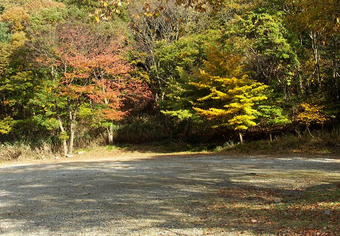 �A��̒��ԏ�t�߂̍g�t�ł��B�g�t���������̊����ŕ����k�J�ɑ������΂����Ǝv���܂������A���߂܂����I(-_-;)�������A�L��������܂����B