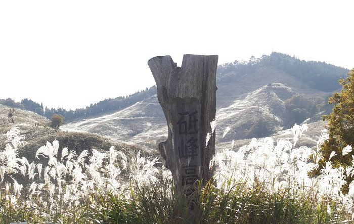 �䂭�H��ǂ������ēu�􍂌���