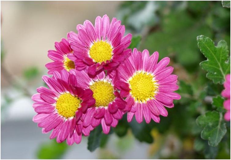 �t�@�C���_�[���Ɋe��B�e�f�[�^���\�������̂��L��ł��I