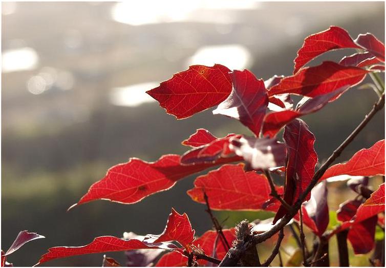 �}�j���A���t�H�[�J�X�ŎB�e���Č��܂���