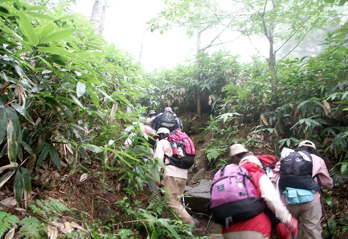 �R���܂ł̍��x���P�D�Q�O�O���A�����T�D�T�����̃n�[�h�ȓo�R�̊J�n�ł��I�N�}�����΂�o�R���A���E���������ł��I