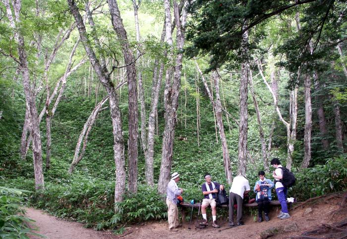 �_�P�J���o�A�u�i�Ȃǂ̗��t���т̃x���`�ŁA�ꊾ��������̃y�b�g�{�g���̂����̔����������ƁI