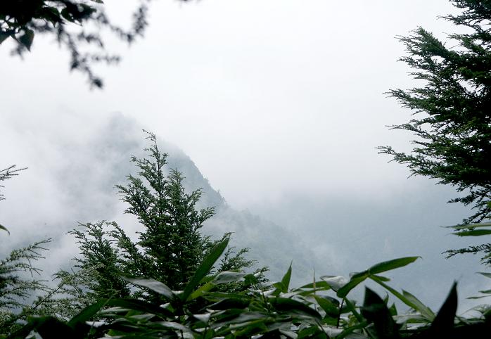 ���E�̈����o�R�����A���x���`���߂��������玞�X�A�ڑO���L����܂����K�X���������āE�E�E(-_-;)