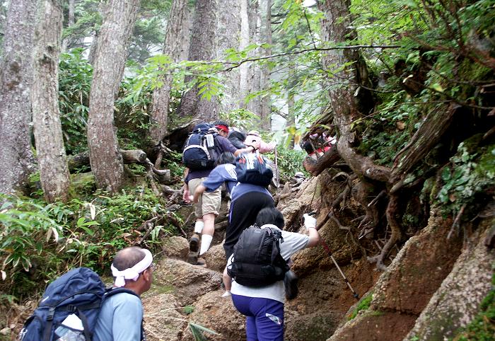 ���ς�炸�̋}��̘A���I�k�A���v�X�R��}�o�̂ЂƂɐ������邻���ł��B