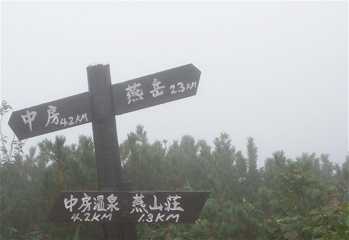 ���포������R�O���قǂő�����ɓ����I�n�C�}�c�z�ɁA�����x�̗E�p��������͂��Ȃ̂ɁE�E�E�E(-_-;)