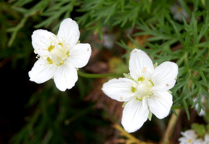 �}�N���Ŕ����Č��܂����I