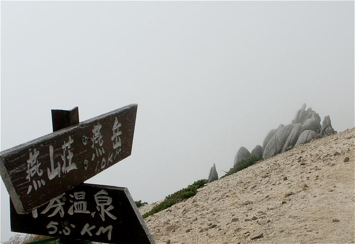 �R�����ʂ̉E�������A���x�ւ̓o�R���ł��I�K�X���������Ē���͎p�������Ă���܂��񂪍��I�̔ޕ��ɉԛ��₪�����Ă��܂��I