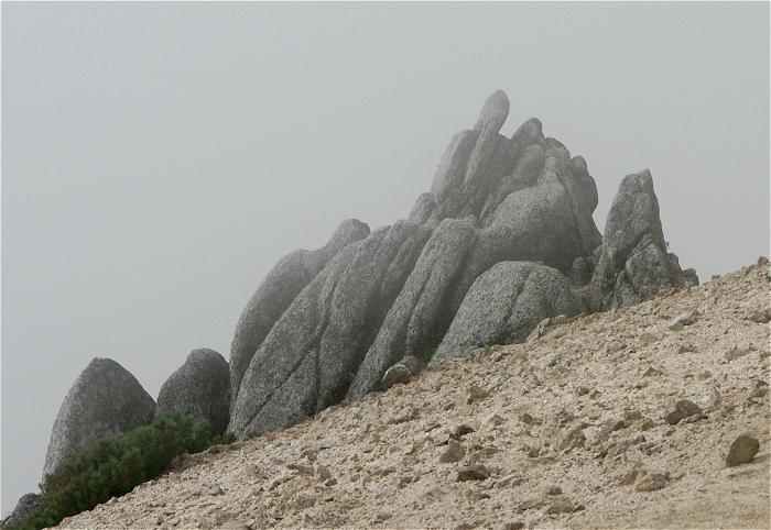 �K�X�̐؂�ڂ�_���āA�Y�[�������ς��ŁI���R�̑��`���A�������낢�ł��ˁI