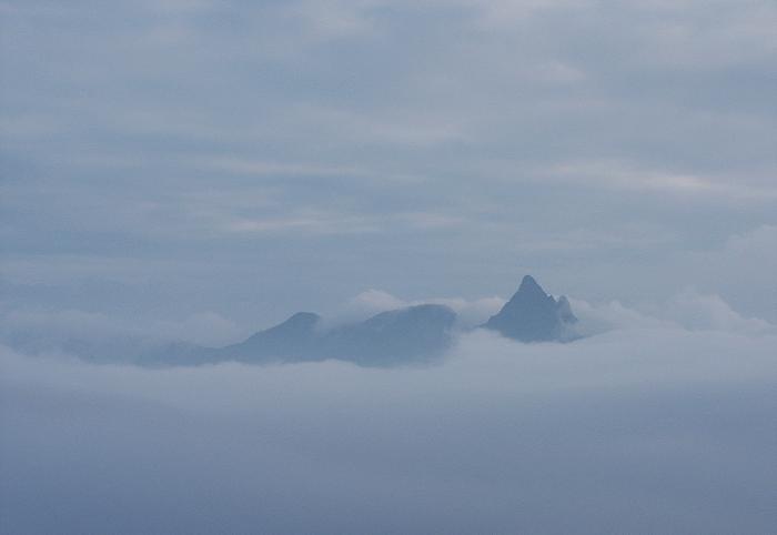 �����ɂ����̎p�͌���ꂸ�A����̓o�R�ł̋M�d�ȂP�O���قǂ̃����V���b�g�ł����B