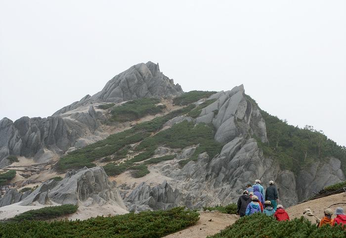 ����܂Ŗ�Pkm���̍s���A�ԛ���ƃn�C�}�c�̔����؂�����܂��B