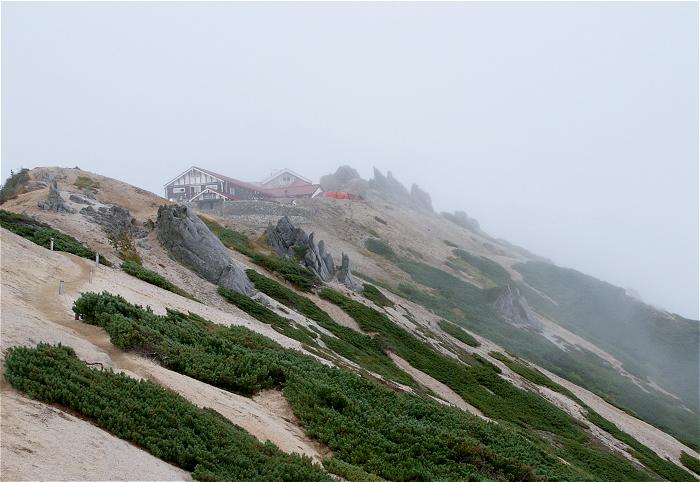 �U������΁A��������b�ɂȂ������R�����������Ȃ��Ă����܂��B���������ԛ���̍��I�Ƀn�C�}�c�̎Ζʂ̃R���g���X�g���Y��ł����I(^_^)v