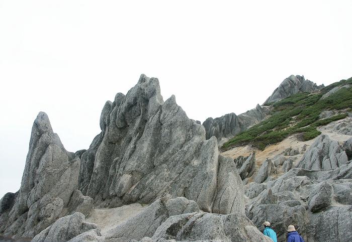 ���㒼���ɂ́A���������ԛ���̑��`�����������낢�ł��ˁI