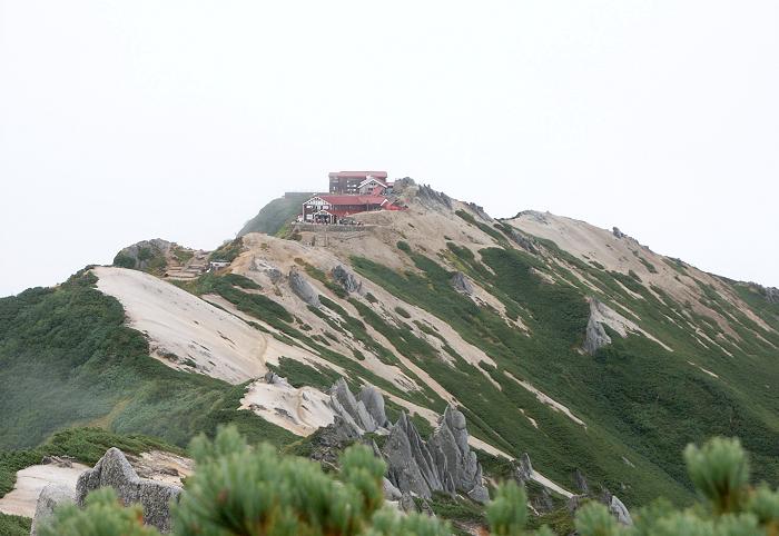 ���ォ����K�X�̐؂�ڂɁA���R�����Y��Ɍ����Ă��܂����I