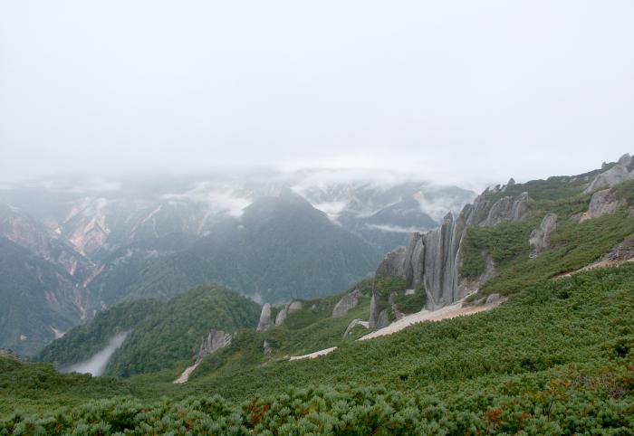 ���E���J�������i�ł��I