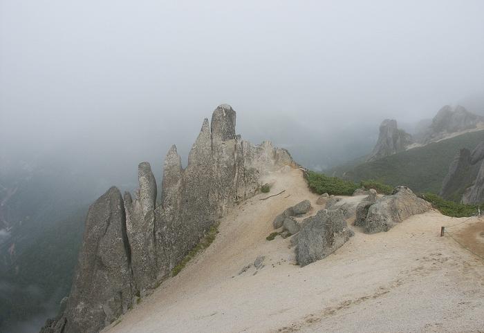 �o��͒���΂��蒭�߂Ă��܂������A���R���ɂ͂��낢��Ȍ`�̉ԛ���̊��ɖڂ��ڂ�܂����I