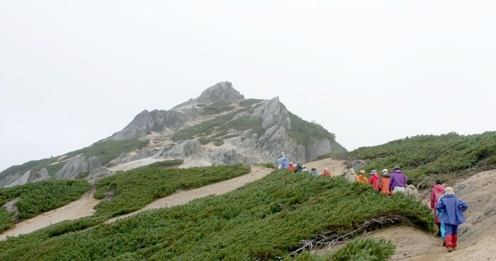 �A���o���̉摜�Ƀ}�E�X�|�C���^�[���悹��ƕ⏕�R�����g���L��܂��B