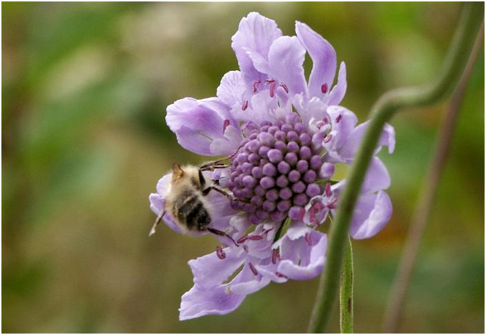 �����Ō��������̂��A�����������E�E�E�E�E