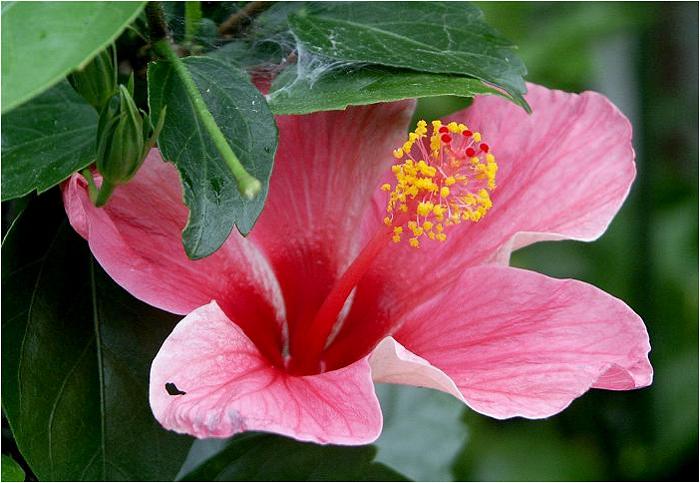 �[�H�܂ł̈ꎞ�ɁA���h�ߕӂ��U�􂵂Ă݂܂����B�������썑�A�n�C�r�X�J�X���A�`���R�`���ɁE�E�E�E