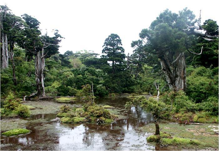 ���쏬������P���Ԕ��قǕ������Ƃ���ŖڑO�ɕ������Z�Ȏ����u�ԔV�]�́v�ɓ����A�����ŏ��x���E�E�E�E