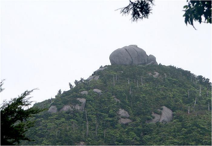 ���Պx�ɁA�Y�[���A�b�v�I���v���ł͒ʏ́u�g�[�t��v�ƌĂ΂�Ă��邻���ł����A���͐H�p���̊����Ɍ����܂����B�i�΁j