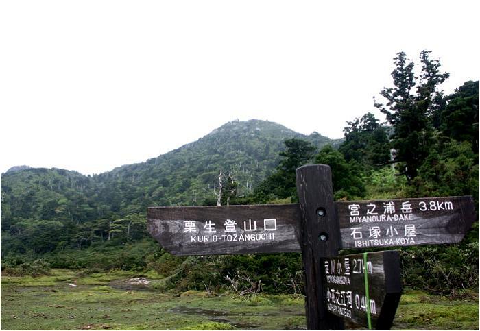 ���X�ɐݒu����Ă��铹�W�A����܂Ō�R�D�W�����I