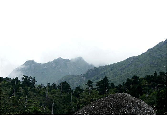 ���̒ʂ�₪�S���S�������̂Ă��Ă銴���ŁA���̕ӂ肩���؂��Ȃ��Ȃ�W�]���悭�Ȃ�܂����B