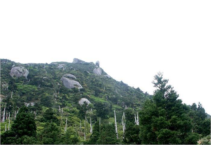 �����U������΁A�����x(1.831m)���E�E�E�E�A�����ɂ���₪�����ς������Ă��܂����B