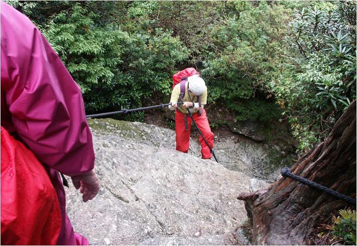 ����̓o�R�ł̈�Ԃ̓�ł����B���[�v��`���Ă���̂́A�K�C�h�́u�Ђ�݂���v�ł��B