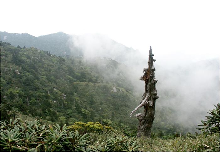 �o�R���̏��X�Ō������鉝�N�̉��v�����̔������A�����ł͌͂�؂��G�ɂȂ�܂��ˁI