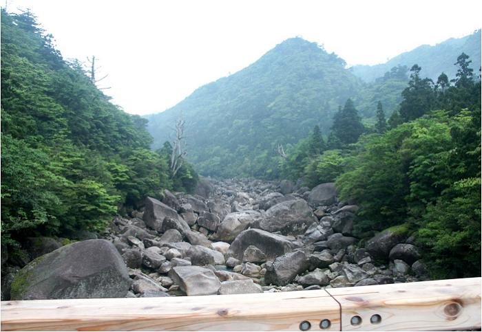 ���̒��قǂŏ㗬���ʂ��E�E�E�E�E