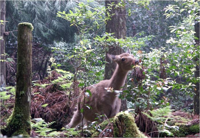 �O�㐙�t�߂ŏ��x�����Ɍ����������v���ł��B�Ԃ�ȓ��ō����̗l�q���f���Ă��܂����B