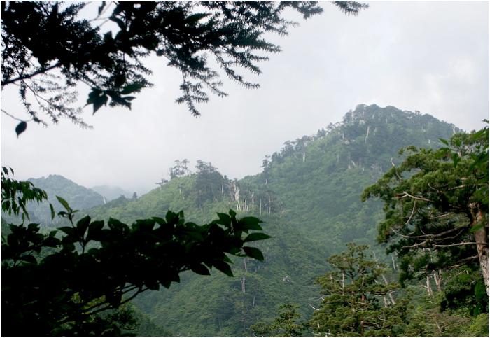 ��؂̐��т̍��Ԃ���A����o�R�̋{�V�Y���ʂ��E�E�E�E�A�K�X���������Č����B�ꂵ�Ă��܂����B