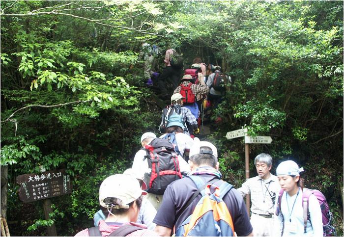 ���R�ȃg���b�R�O���ɂ��ʂ�A��������͋}�ȎR�x���ɂȂ�܂��B