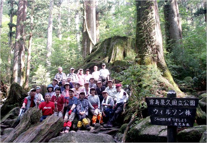 �����o�[�̓���̃E�C���\�����A400�N���O�ɖL�b�G�g�̖��ɂ��A���s�E���L���啧�a���݂̂��߂ɔ��̂���Ă��܂����Ɠ`�����Ă��邻���ł��B