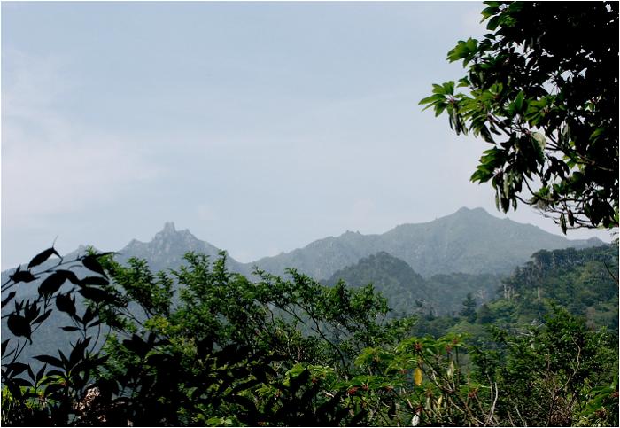 �E�C���\�������߂����A���̕t�߂�����{�V�Y�x���ʂ��Y��Ɍ����Ă��܂����B