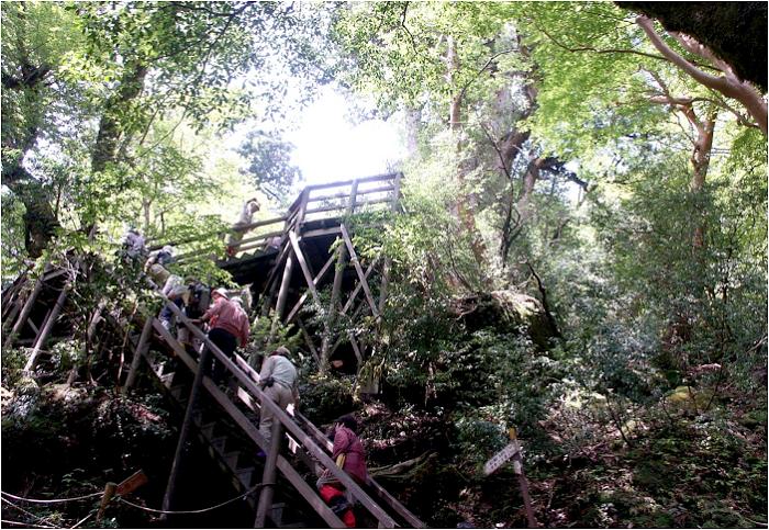 �o�R�������s�T���Ԃ��܂�ŁA�O��̓ꕶ���ɓ������܂����I(^_^)v